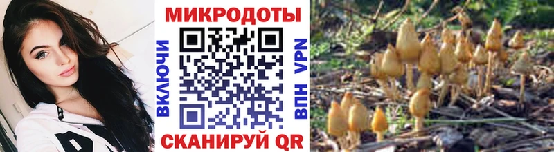 Псилоцибиновые грибы MAGIC MUSHROOMS  Далматово 