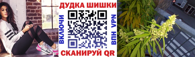 Бошки Шишки Amnesia  где можно купить наркотик  Далматово 